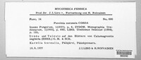 Puccinia coronata image